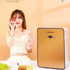 미니 화장품 냉장고 모유 냉장고 대용량 냉온겸용 온도조절 저소음 고급형, 12L