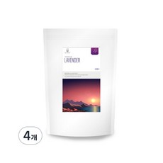 닥터루트 라벤더차 삼각티백, 1.2g, 100개입, 4개