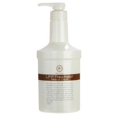 일진 RN 아렌 LPP/엘피피 트리트먼트 펌 컬러 1000ml/헤어팩, 단일상품
