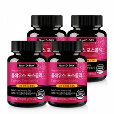 콜레우스포스콜리 TOP01