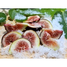 팜투게더 여왕의과일 홍무화과 고당도, 1개, 450g(4~5과)GAP인증