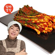 김수미의 엄마생각 파김치 1kg, 단품