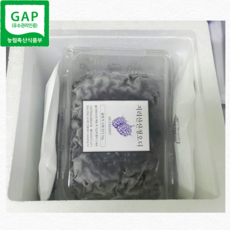 산청블루베리오디