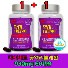 강아지굶지않고다이어트하는법