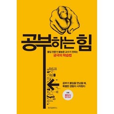 공부하는 힘:몰입 전문가 황농문 교수가 전하는 궁극의 학습법, 위즈덤하우스, 황농문 저