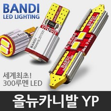 반디 올뉴카니발 YP LED 실내등 풀세트, 일반