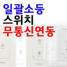 일괄소등스위치