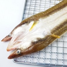 반건조바다장어