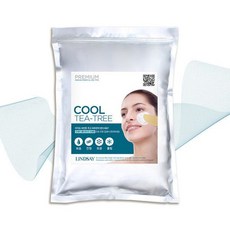 린제이모델링팩티트리1kg