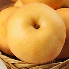 2024년도수확 햇배 황금열매 나주배 업소용 김장용 가정용 흠집배 7.5kg 15kg, 흠집배 7.5kg (16-20과) 중소과, 1개