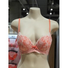 섹시쿠키브라