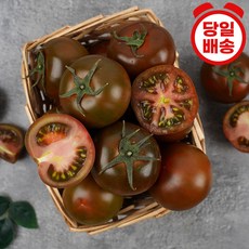 흑토마토