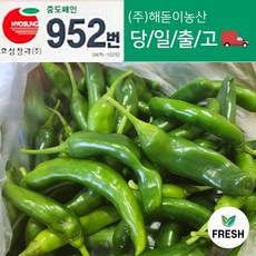 <해돋이농산> 국내산 아삭이고추 오이고추 오이맛고추 못난이고추1kg 2kg 3kg 5kg, 못난이 아삭이고추 1kg, 1개’ /></div>
<div style=