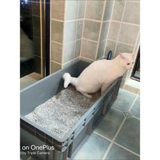 고양이 사분 대형화장실 플라스틱 모래 라지, 1개