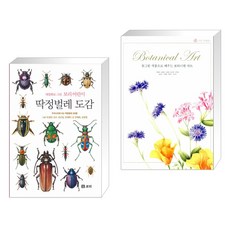꽃그림작품으로배우는보타니컬아트