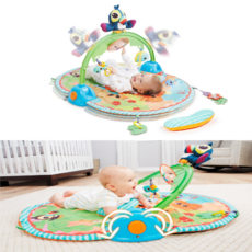 액티비티아기체육관