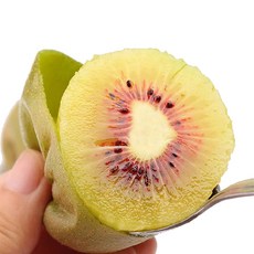 2020첫수확 제주직송 고당도 레드키위 2kg 3kg 4kg, 제주레드키위_중과2kg(24~25과)