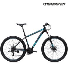 디렘프로마스터