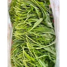 [농가직송] 향과 맛이 진한 와일드 루꼴라 국내산, 1개, 500g
