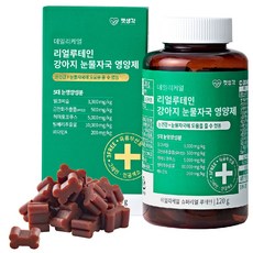 비숑눈물자국