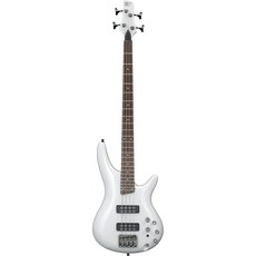 아이바네즈sr300e