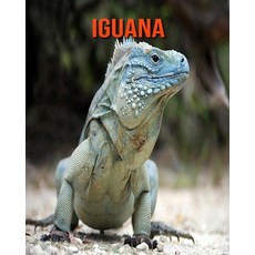 Iguana: Fun Facts & Cool Pictures Paperback, Independently Published, English, 9798564055635