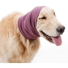 강아지샤워귀마개