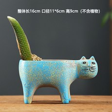 원숭이꼬리선인장