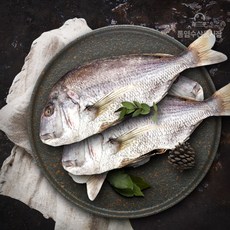 통영반건조옥돔