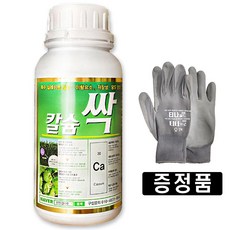 차아염소산칼슘