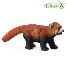 컬렉타 너구리 팬더 (붉은 팬더) 야생 동물 피규어 장난감 모형