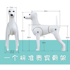 강아지마네킹제작