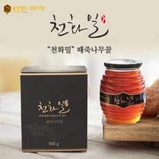 고성공룡엑스포예매