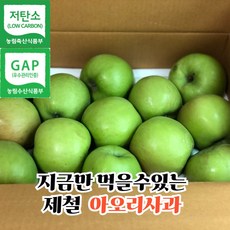 [새콤달콤 제철사과] 썸머킹 햇 아오리 국내산 못난이 과수원 사과 청사과 풋사과 소과 중과 대과 2kg 3kg 5kg 초특가, 1개, 3kg 중과 (10-14입)