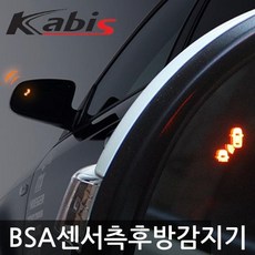bsa장착