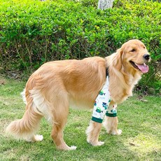 애견 무릎 보호대 슬개골 무릎 보조기 고관절 보호구 연골 반려견 고양이 방지 강아지 패드, 얇은.7, 4XL(권장 체중 60-72kg), 1개