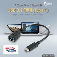 c타입캡처보드
