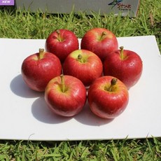 x1 -q17167i미니사과je - qb17167MD[3kg[0H - FREE1P]한입사과]NEW신상품1EA생활용품소품b1-2289액세서리알프스오토메a1 -yy17167패션잡화액세서리 선물, 신상품r7-0924-1P 1
