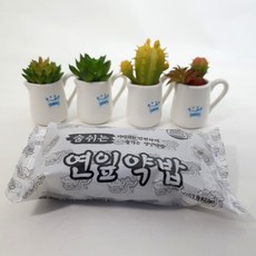 간편 영양 간식 연잎 약밥 80g x 12개 찰진 약식 떡, 연잎약밥12개