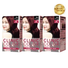 꽃을든남자 크리닉 칼라 염색약, 체리레드, 3세트
