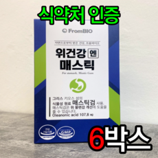 메스틱검 TOP01