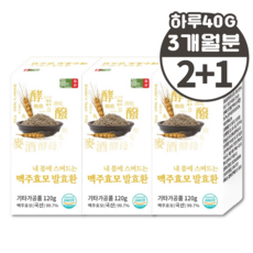국산 맥주효모 순수 맥주효모환 100% 프리미엄 약용효모 효묘 효모 맥주환, 3개, 120g