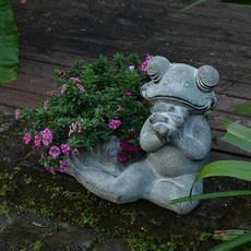 개구리연못