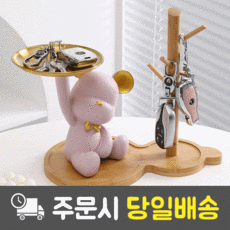 현관트레이