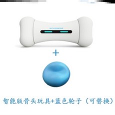 반려동물펫푸드스타일리스트