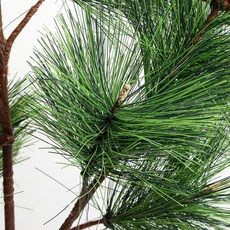 6c00932f236189b1f1c3bf854057badf823cadf36ee340c24cde2418b22f.jpg