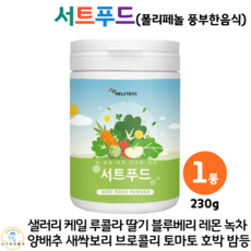 서트푸드다이어트