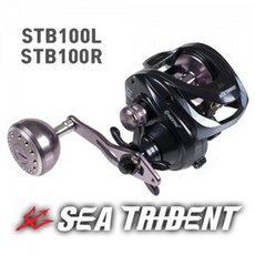 워터맨 시트라이던트 STB100, STB100R