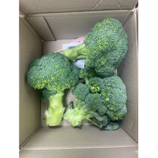 브로콜리(특품) 1kg 2kg [원산지:국산], 1개