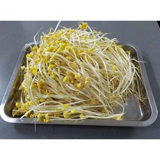 아구찜 부대찌개 김치찌개 볶음 전골 등 통통한 찜용 콩나물 국산 4kg 8kg 대량, 1개
